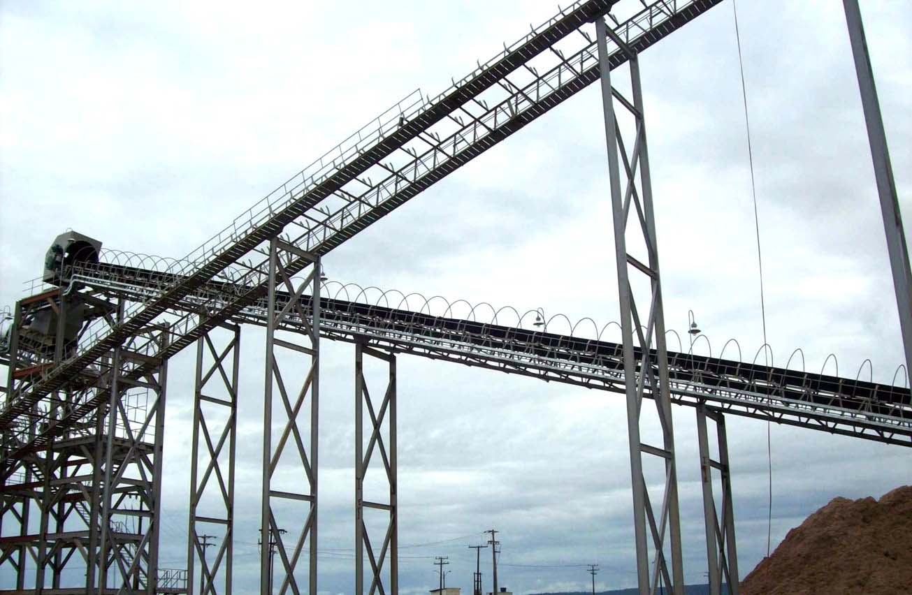 Transportadores