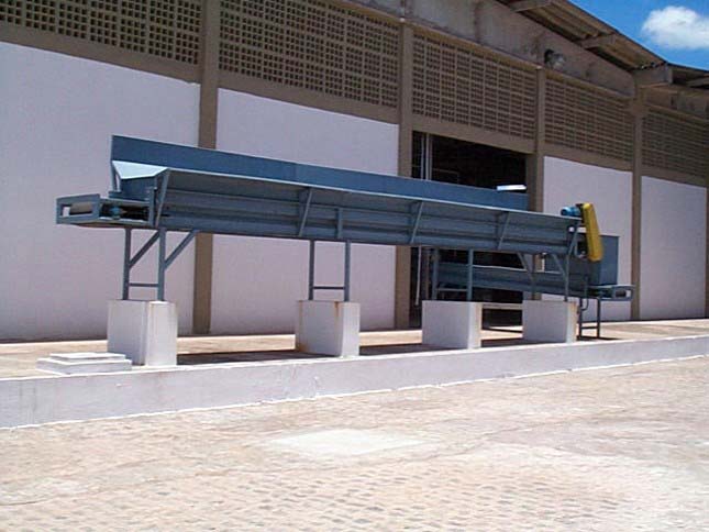 Despolpamento Abacaxi