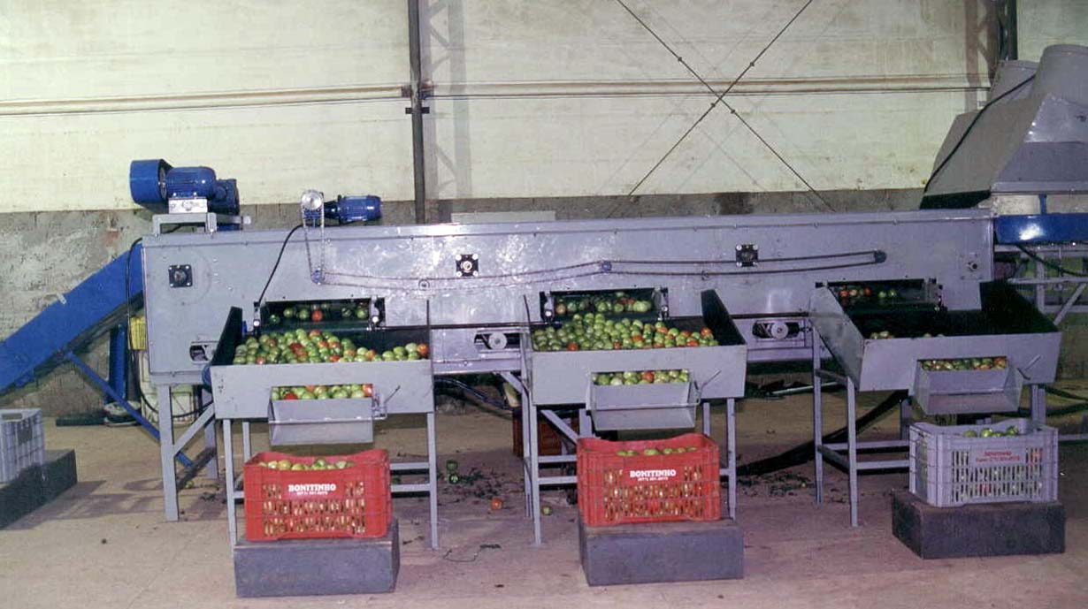 Beneficiar Batata