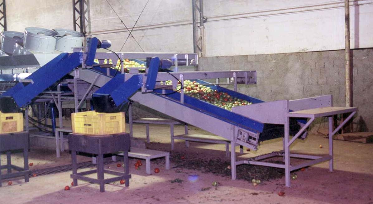 Beneficiar Batata