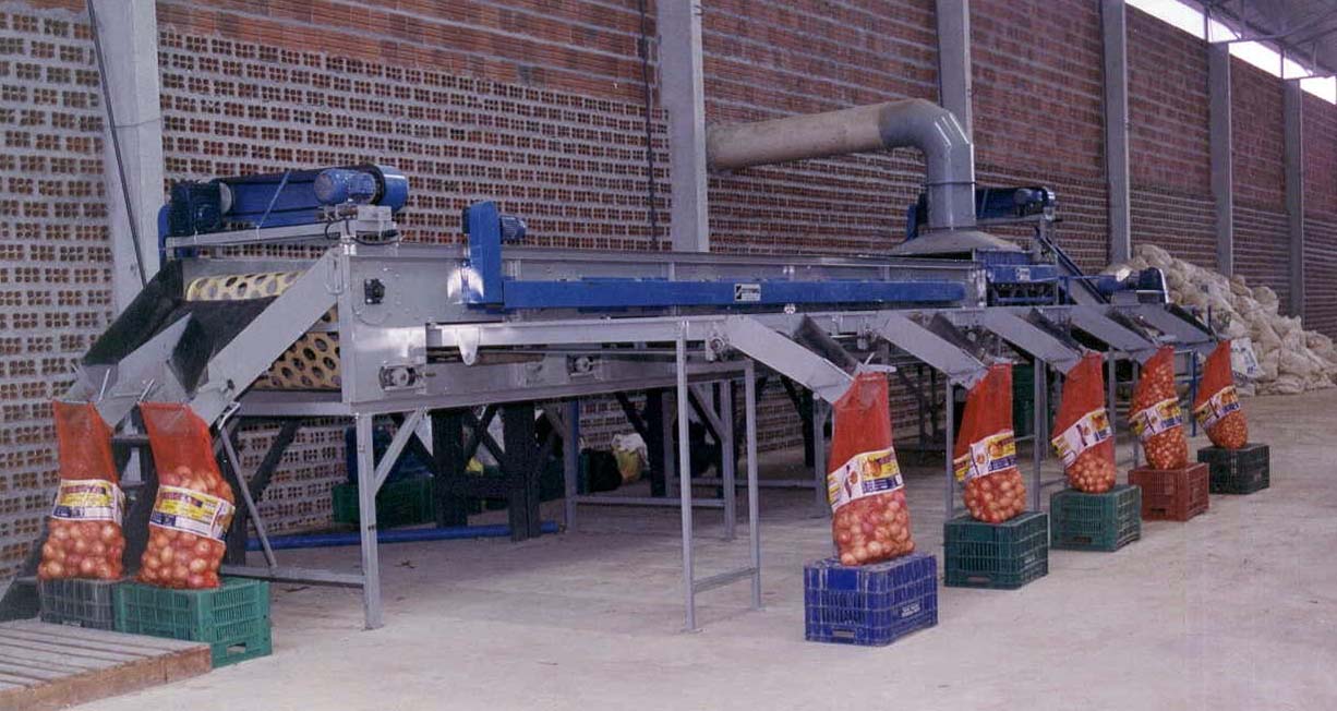 Beneficiar Batata